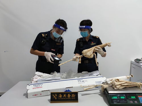 江門廣播電視臺 打造精品節(jié)目，傳播僑鄉(xiāng)之聲